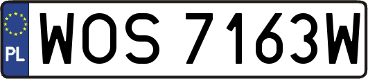 WOS7163W