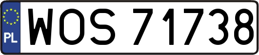 WOS71738