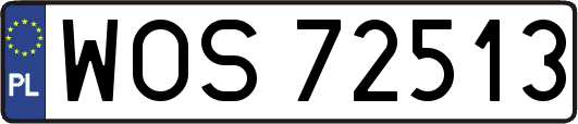 WOS72513