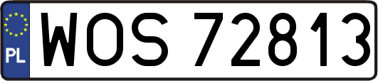 WOS72813