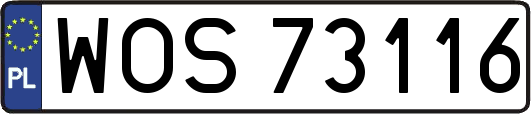 WOS73116