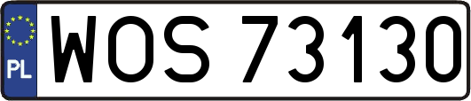 WOS73130