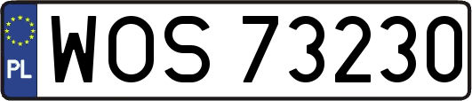 WOS73230