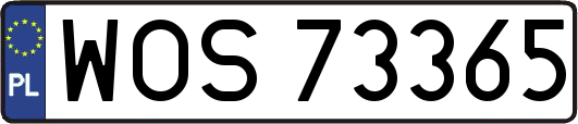 WOS73365