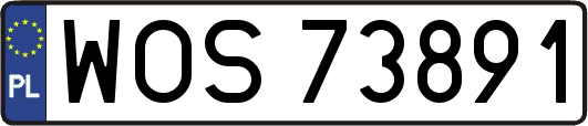 WOS73891