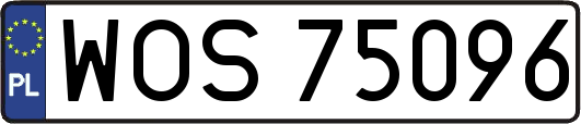 WOS75096