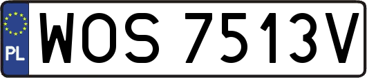 WOS7513V