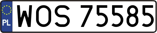 WOS75585