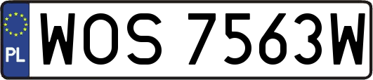 WOS7563W