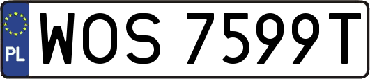WOS7599T