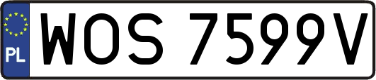 WOS7599V