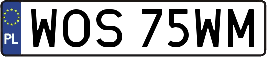 WOS75WM