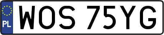 WOS75YG