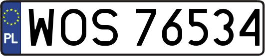 WOS76534