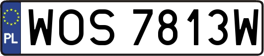 WOS7813W