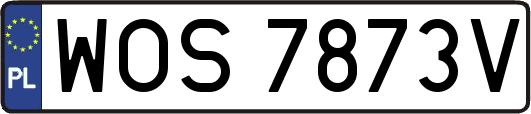WOS7873V