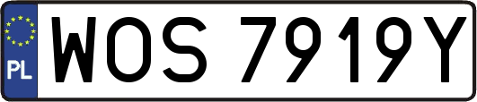 WOS7919Y