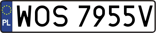 WOS7955V
