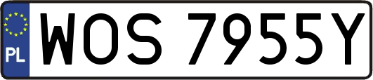 WOS7955Y