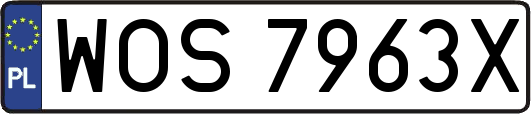 WOS7963X