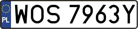 WOS7963Y