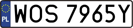 WOS7965Y