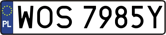 WOS7985Y