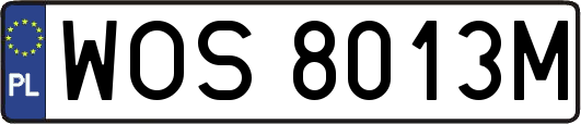 WOS8013M