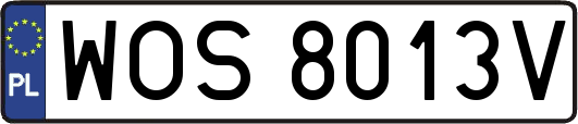 WOS8013V