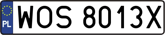 WOS8013X