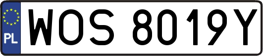 WOS8019Y