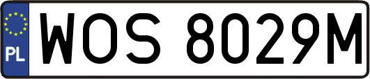 WOS8029M
