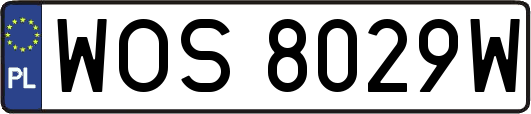 WOS8029W