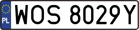 WOS8029Y