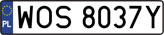 WOS8037Y