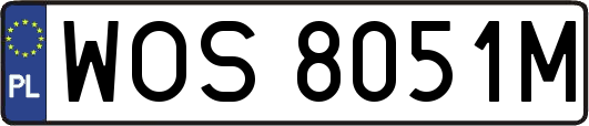 WOS8051M