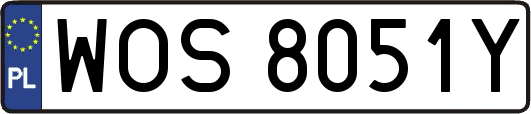 WOS8051Y