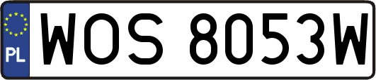 WOS8053W