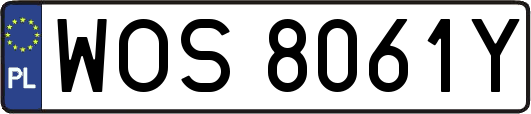WOS8061Y
