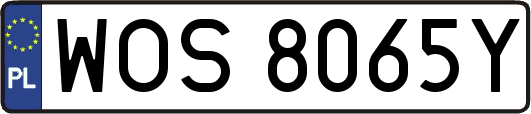 WOS8065Y