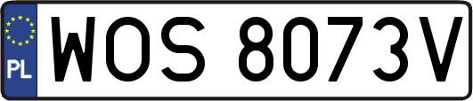 WOS8073V