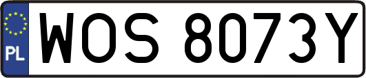 WOS8073Y