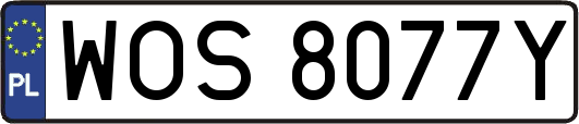 WOS8077Y
