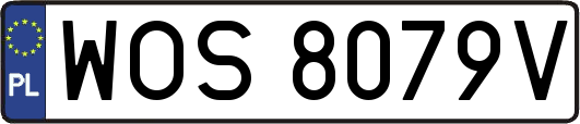 WOS8079V