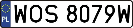 WOS8079W