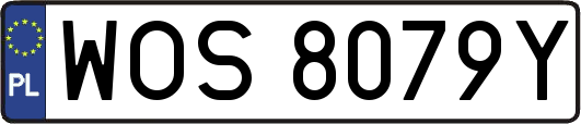 WOS8079Y