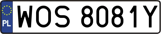 WOS8081Y