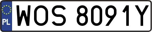 WOS8091Y
