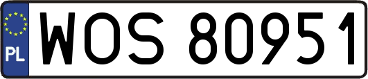 WOS80951