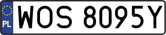 WOS8095Y
